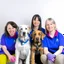 Placeholder: dogdaycare 4person group photo staff not showing hands