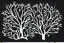 Placeholder: Vector tree illustration white background die cut