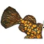 Placeholder: Mandarin Fish Installation, Same Color Family, Textile Manipulation 3d