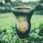 Placeholder: artistic photo of a tiny cracked ceramic vase repaired with gold, kintsugi, garden setting, beautiful landscape photography, beautiful, vines and leaves, delicate, cinematic, high detail, beautiful composition, delicate arrangement, aesthetic, soft lighting, award winning photography, tender