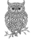 Placeholder: Owl, coloring page , full body (((((white background))))), only use an outline., real style, line art, white color, clean line art, white background, Sketch style