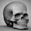 Placeholder: crystal skull portrait, simmetric eyes, ambient, ultra realistic photo, unreal engine, paloroid, 100mm --aspect ratio 1:1