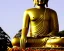 Placeholder: buddha, bliss