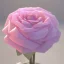 Placeholder: Pink transparent Crystal Rose Bouquet Flower