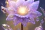 Placeholder: one big crystal subtle flower in a galactic ambiance, transparent petals, delicate colors, in the foreground, with a very little beautiful fairy, full of details, smooth, bright sunshine，soft light atmosphere, light effect，vaporwave colorful, concept art, smooth, extremely sharp detail, finely tuned detail, ultra high definition, 8 k, unreal engine 5, ultra sharp focus