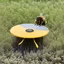 Placeholder: A Frisbee and a Frizz Bee.