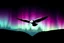 Placeholder: graphic shape of the aurora borealis with bottom edge resemblance to an eagle in flight. smooth vector on black