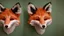 Placeholder: a sci-fi cute little fox head