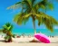 Placeholder: beach, hot, relaxed, colorful, shopping, warm, sand, pina colada, palm, golf, island, blue, green, pink, happy, tan,