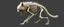 Placeholder: Werewolf Skeleton with lotsa fluffy fur