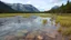 Placeholder: Floating depth by a fjord in a grassy swamp with rich foraging and potable water from a geyser.