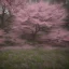 Placeholder: The cherry blossoms in the forest