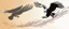 Placeholder: 2 birds being chased through the air by an eagle, they each trail a graphic line behind them, and lost feathers, vector