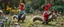 Placeholder: depth of field, halo, blue and red clothed gnomes riding squirrels with lances in garden of eden in the style of Escher and Giger