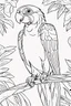 Placeholder: coloring page for kids, PARROT, thick outline, low details, no shading, no color