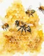 Placeholder: honey yellow background and honeycombs watercolor painted