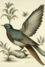 Placeholder: desain burung behaus