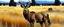 Placeholder: regal pose of Elk in a prairie field, wild grasses and bushes in corners of foreground