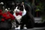 Placeholder: CAT WITH WHITE SHIRT AND RED BOW TIE IN THA FANTASY GAalb negru ,,,numai schitaRDEN WITH FLOWERS desen