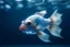 Placeholder: Please artistic photograph of an inverted, distorted porcelain fish in a watery ocean. Create a close-up, foggy, chromatic technicolor, and dreamlike atmosphere. Consider using lenses like sigma 85mm f/1.4, 15mm, or 35mm. Opt for high resolution (e.g., 4k, 8k, HD). Experiment with smears of primary color on the film. Thanks.