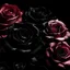 Placeholder: Flowers, black roses, nature, color palette, black and pink, background, roses