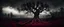 Placeholder: Panorama dark nature bloodtree