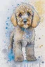 Placeholder: Abstract wet watercolour of a cockapoo, sketchy pencil lines, splashy background, bifurcated circles, detailed,focus on eyes, watercolour paper