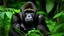 Placeholder: A young gorilla with dark fur and a thoughtful expression, sitting amidst lush green foliage