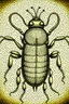 Placeholder: gothic, steampunk drawings of a beetle, sepia-toned