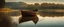 Placeholder: Rustic boat, old wooden fishing boat on lake, Panorama, Landscape photography.