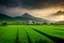 Placeholder: Photography Art beautiful dramatic evening ,Islamic Mosque ,rice paddy fields,green mountain background,imaginative photoshoot fromfar