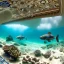 Placeholder: lost underwater city, Poseidon, highly detailed, cinematic, ultra photorealistic, ultra realistic, volumetric lighting, sun shafts, spectral