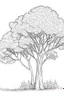 Placeholder: outline art for Trees coloring pages with sitch, white background, Sketch style, full body, only use outline, dementia patients style, clean line art, white background, no shadows and clear and well outlined.