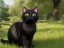 Placeholder: Mia the Cat: Mia is a handsome black cat with green eyes and a tail that is always wagging. She lives in a bright green caravan in the forest and loves to sunbathe on the rocks. Mia is smart, confident and likes to be in control of the situation. She is also friendly and helpful to her friends.