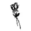 Placeholder: two vector roses together,