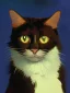 Placeholder: Portrait of a cat by Van Gogh