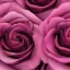 Placeholder: Watercolor pink roses