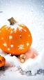 Placeholder: Pumpkin with snow , Merry-x-mas decoration, tree