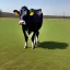 Placeholder: cow in a pantsuit