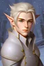 Placeholder: 20 year old male winter eladrin portrait with two swords shoulder length hair