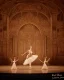 Placeholder: ballerina on stage of elaborate opera house, sepia photography, 8k resolution, high-quality, fine-detail, intricate, detailed matte, volumetric lighting, photo-realistic, candles, translucent gown, illustration, 3D octane render, brian froud, howard lyon, selina french, anna dittmann, annie stokes, lisa parker, greg rutowski,