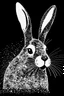 Placeholder: Black and white abstract bunny