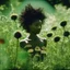 Placeholder: green dandelions electric heart