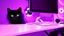 Placeholder: Cute black cat sitting on a gaming chair, in front of a gaming PC table, in a dark room with purple lights and gaming posters, atmospheric, gorgeous, realistic