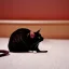 Placeholder: cat finds mouse