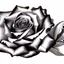 Placeholder: A rose, black & white outline art