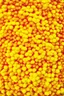 Placeholder: The Chrysanthemum Curve is a yellow and red Chrysanthemum filled in with Kusama-style connected dots