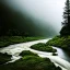 Placeholder: dense florest landscape with a river in a raining day, aesthetic