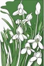 Placeholder: flowers coloring page for kids, snowdrop, cartoon style, thick outline, low details, no shading, no color