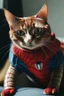 Placeholder: spider man cat